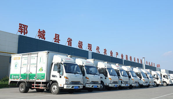 檳榔給袋式包裝機(jī)
